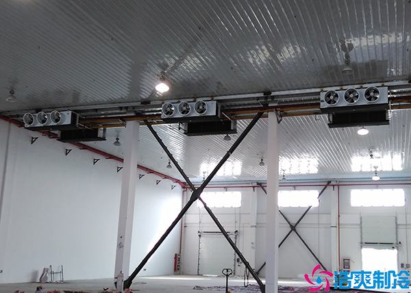 冷链物流菠萝蜜在线观看