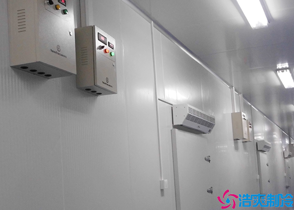 生鲜菠萝蜜在线观看