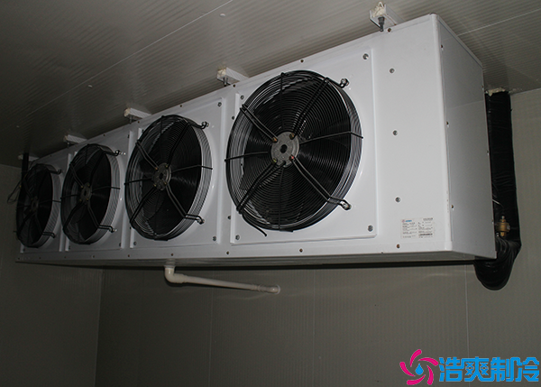 生鲜菠萝蜜在线观看