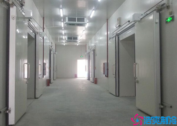 低温食品菠萝蜜在线观看