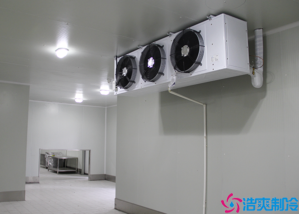 垃圾房菠萝蜜在线观看