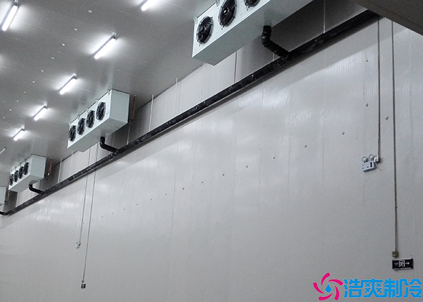 菠萝蜜在线观看耗电量