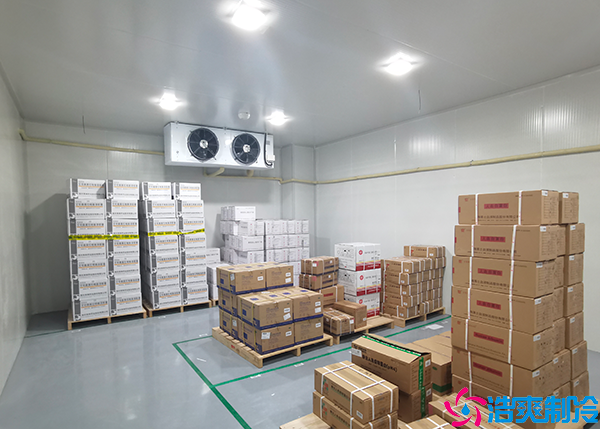 冷链食品菠萝蜜在线观看