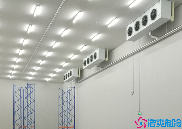 大型超市菠萝蜜在线观看