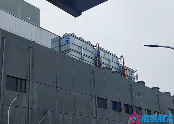 大型超市菠萝蜜在线观看