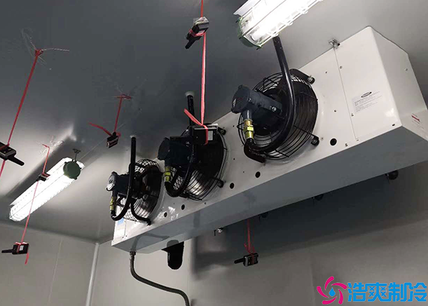 新移动菠萝蜜在线观看