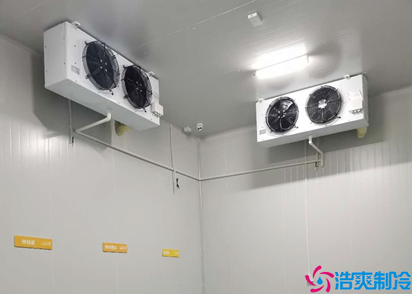 菠萝蜜在线观看建造