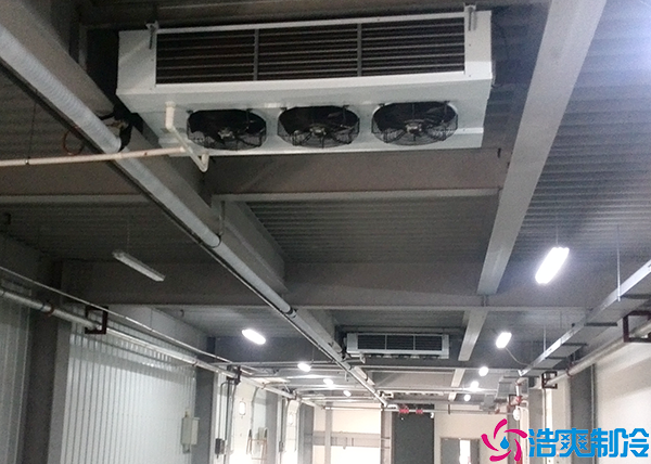 酒店单温菠萝蜜在线观看