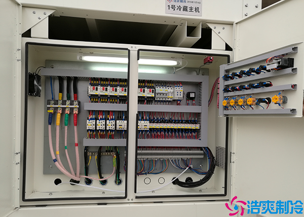 单温菠萝蜜在线观看