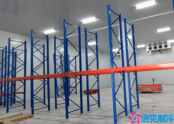 物流菠萝蜜在线观看