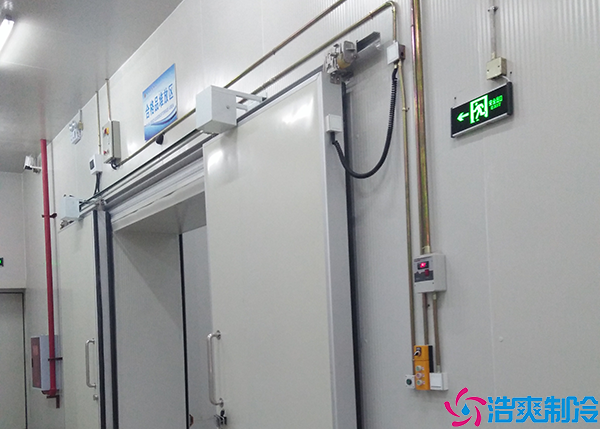 双温菠萝蜜在线观看