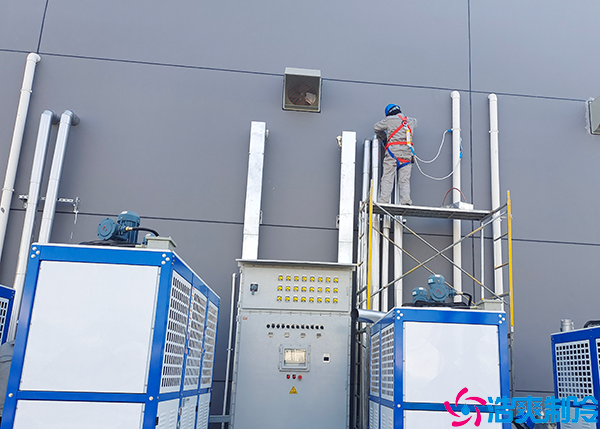 排酸菠萝蜜在线观看