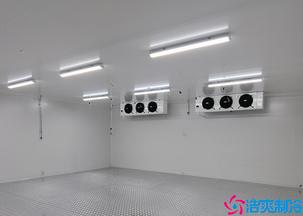 单温菠萝蜜在线观看