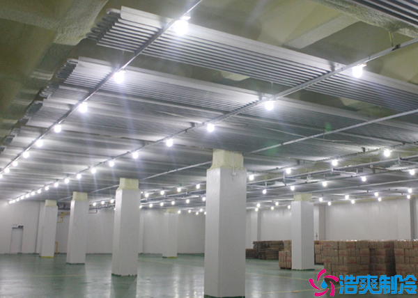 菠萝蜜在线观看安装