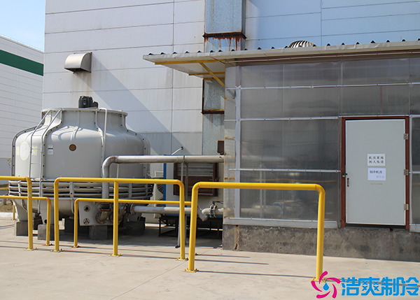 菠萝蜜在线观看