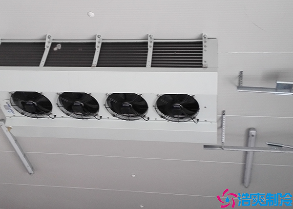 酒水菠萝蜜在线观看