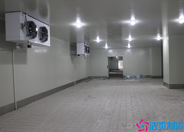 双温菠萝蜜在线观看