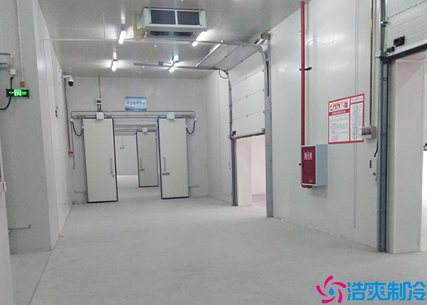 食品菠萝蜜在线观看