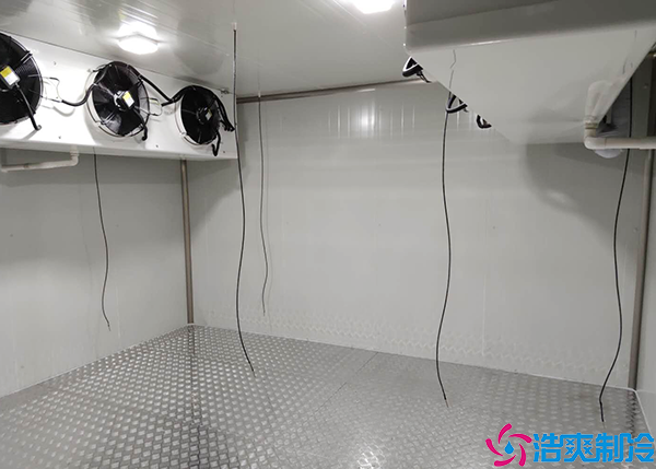 水果保鲜菠萝蜜在线观看