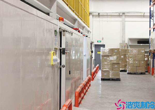 排酸速冻菠萝蜜在线观看