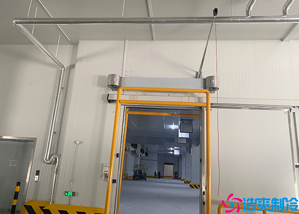 恒温菠萝蜜在线观看