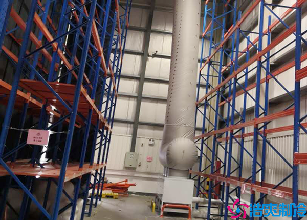 大型菠萝蜜在线观看