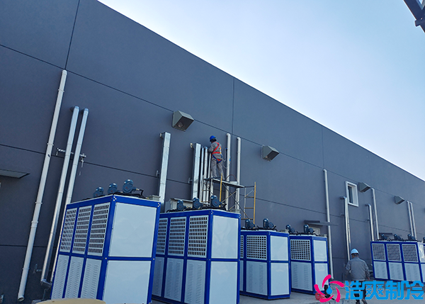 大型菠萝蜜在线观看