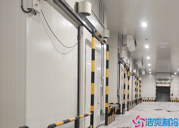 单温菠萝蜜在线观看