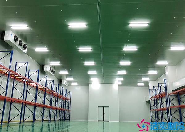 气调菠萝蜜在线观看