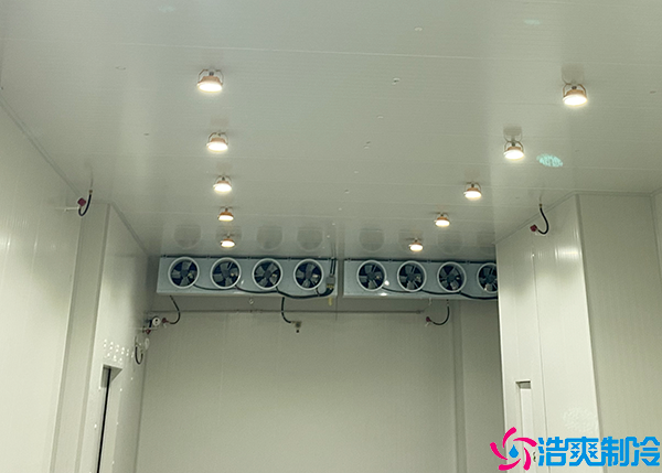 大型菠萝蜜在线观看安装