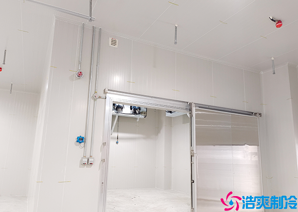 农畜产品仓储冷链物流菠萝蜜在线观看