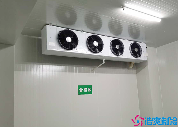 蔬菜保鲜菠萝蜜在线观看