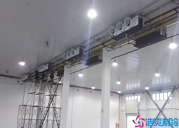 一百吨菠萝蜜在线观看