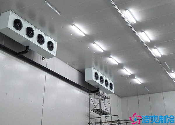 气调菠萝蜜在线观看