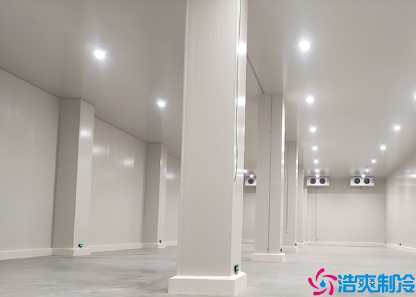 蔬菜保鲜菠萝蜜在线观看