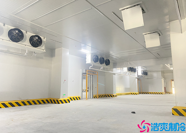 菠萝蜜在线观看建造