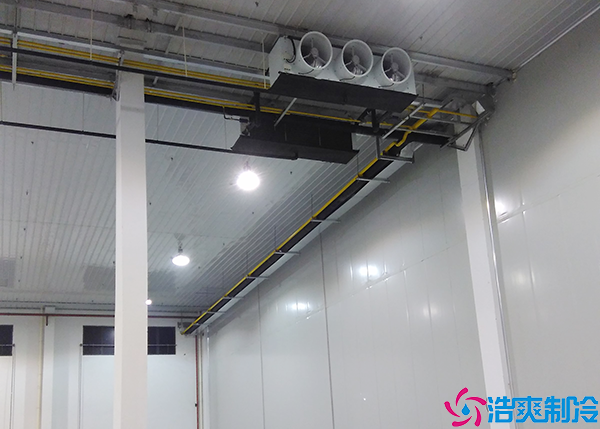 恒温菠萝蜜在线观看