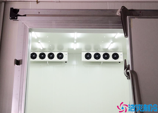 排酸速冻菠萝蜜在线观看