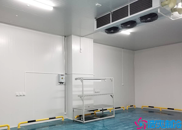 冷藏保鲜菠萝蜜在线观看