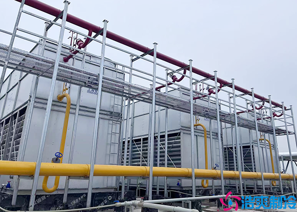 速冻菠萝蜜在线观看