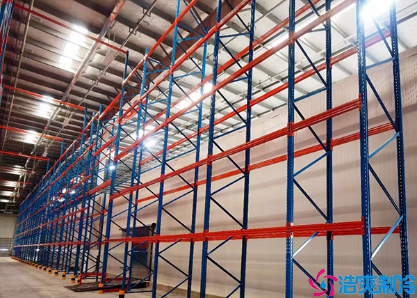 速冻菠萝蜜在线观看