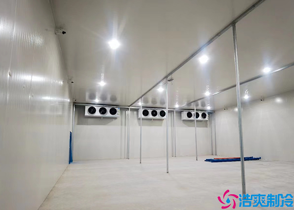 海鲜菠萝蜜在线观看