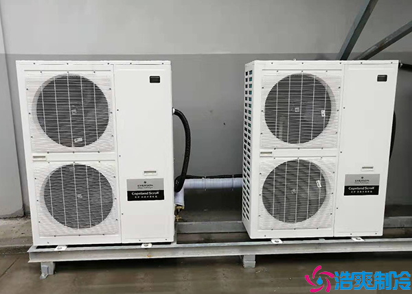 便利店菠萝蜜在线观看