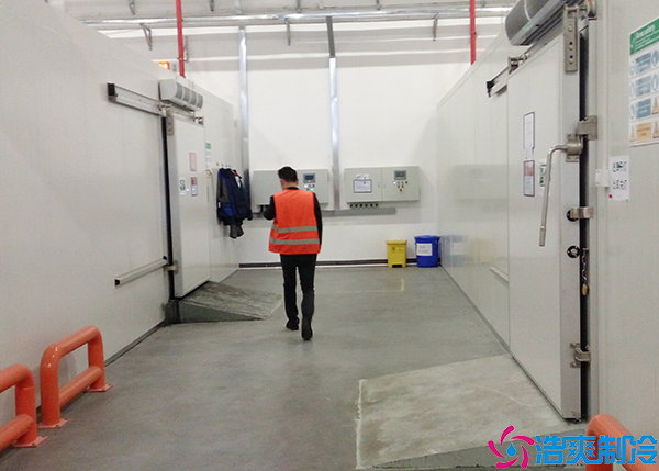 昌图菠萝蜜在线观看安装制作