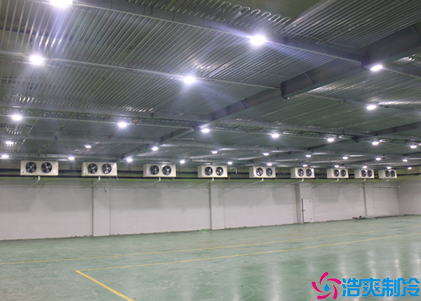 食品菠萝蜜在线观看