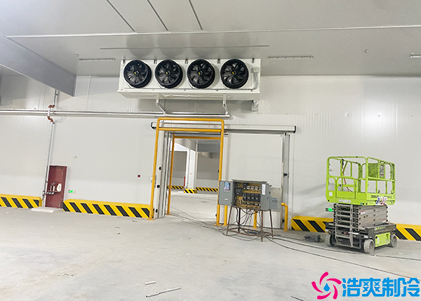 排酸菠萝蜜在线观看