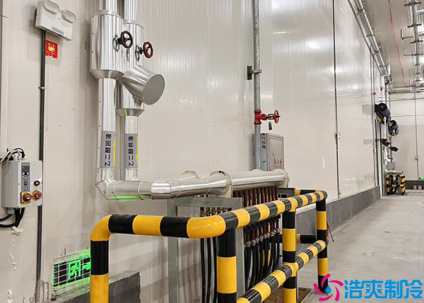 排酸菠萝蜜在线观看