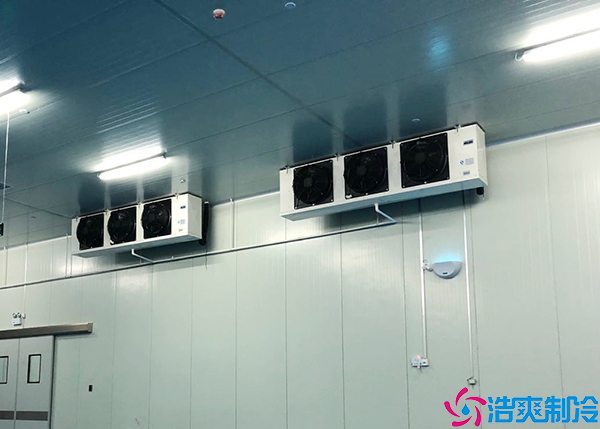 海鲜冷冻菠萝蜜在线观看