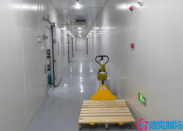 鸡蛋保鲜菠萝蜜在线观看