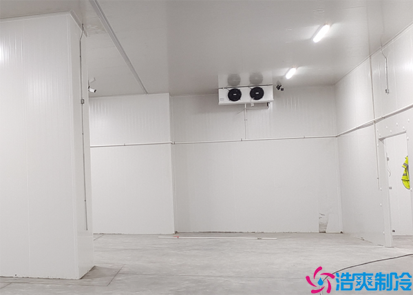 排酸菠萝蜜在线观看